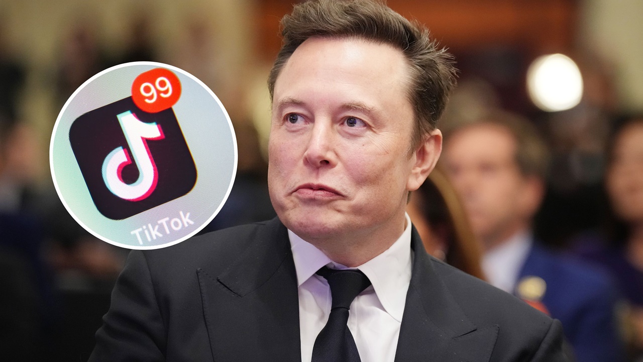 tiktok elon musk satilma trump