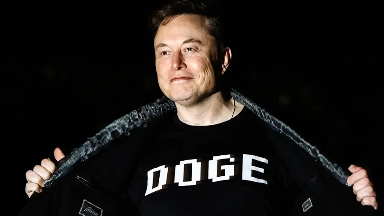 elon musk doge 2.webp