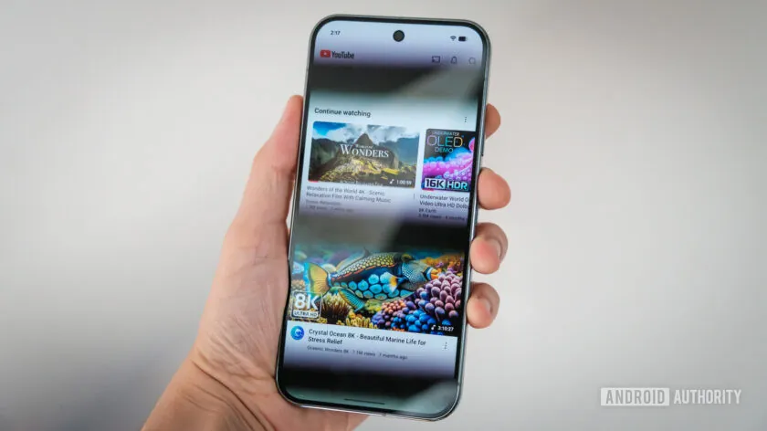 Pixel 9 Pro XL Display PWM lines 840w 472h.jpg.webp