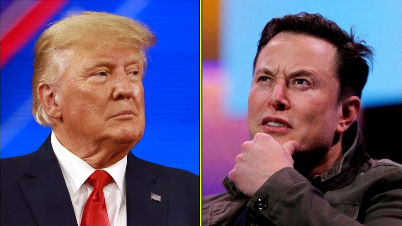 donald trump elon musk