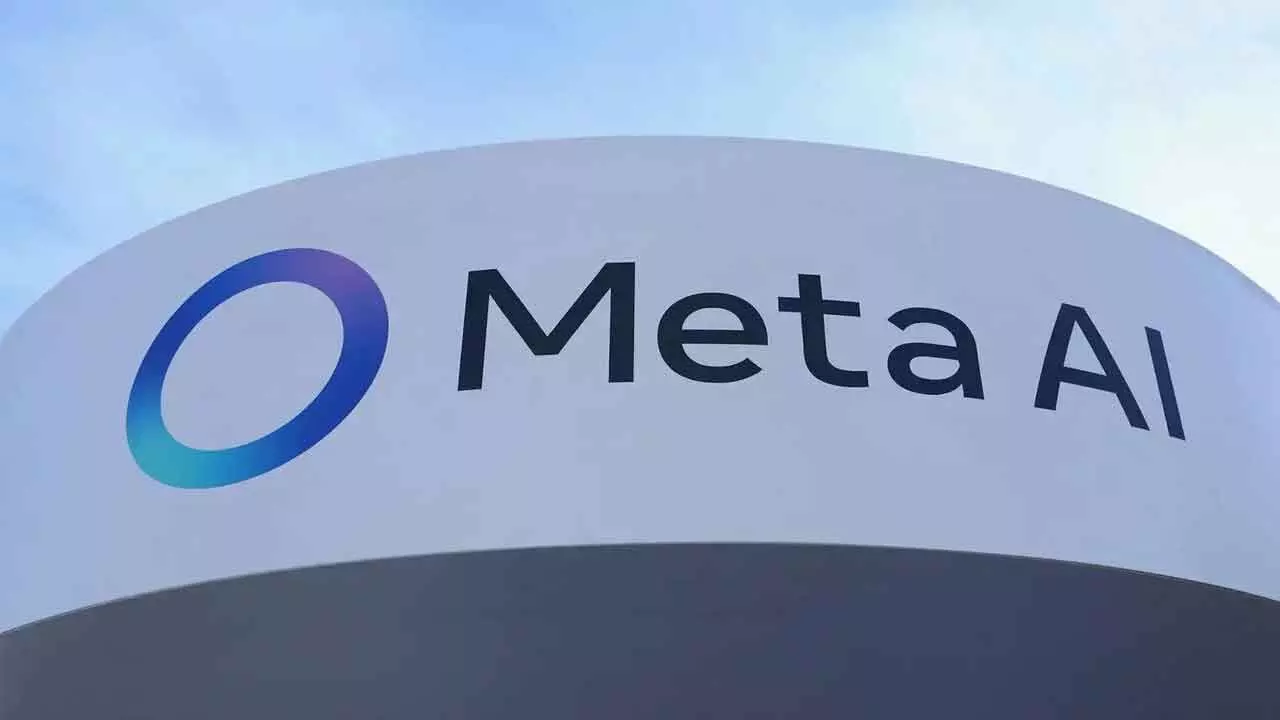 meta 2.webp