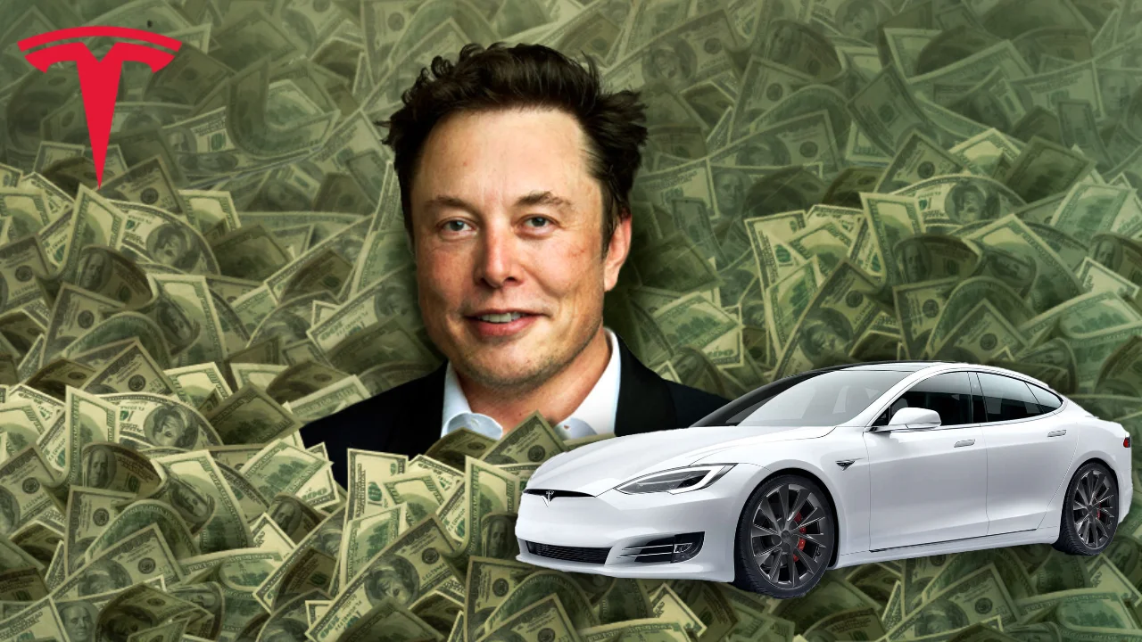 Tesla Ender Ozturk.webp